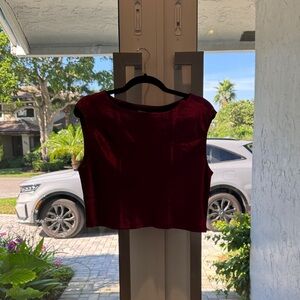 Elegant Pink/Purple Velvet Women's Top